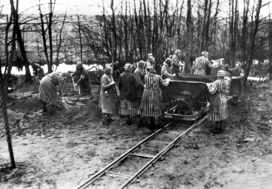 Women in a Concentration Camp